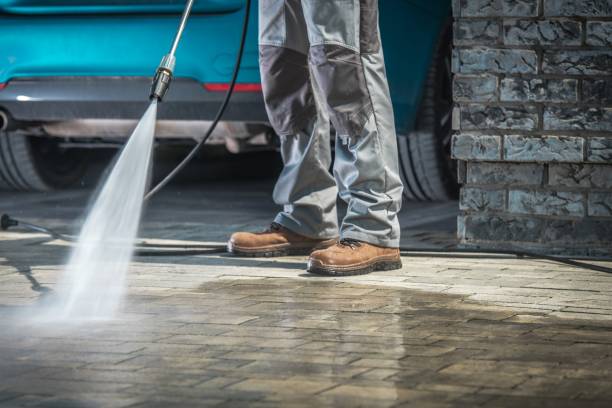 Best Dumpster Area Cleaning  in Roma, TX