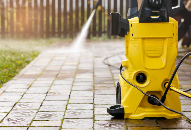 Best Sidewalk and Walkway Cleaning  in Roma, TX